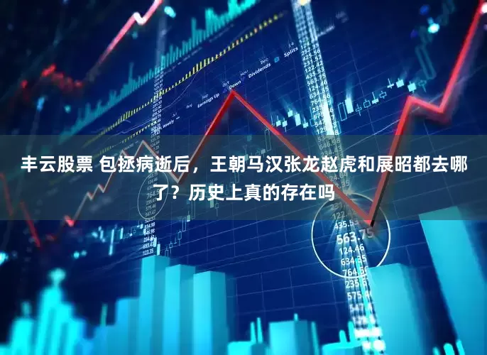丰云股票 包拯病逝后，王朝马汉张龙赵虎和展昭都去哪了？历史上真的存在吗