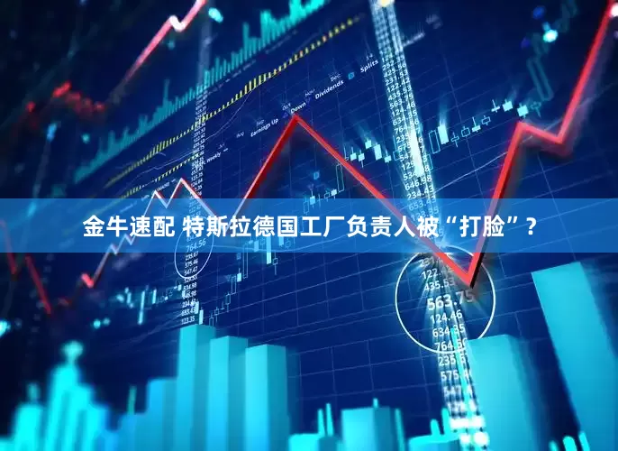 金牛速配 特斯拉德国工厂负责人被“打脸”？