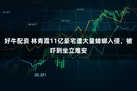 好牛配资 林青霞11亿豪宅遭大量蟑螂入侵，被吓到坐立难安